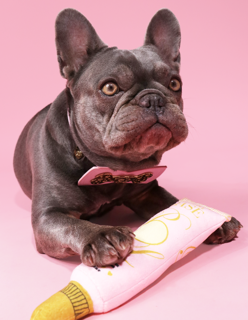 Brinquedo básico para cachorro