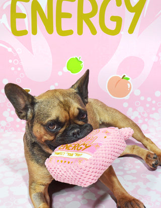P.louise Bad B*tch Dog Toy