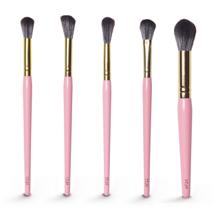 P.Louise folgt meinem Zweck Make -up -Pinsel -Set