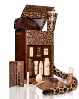 Caixa de relações públicas do Hot Spot Cheetah